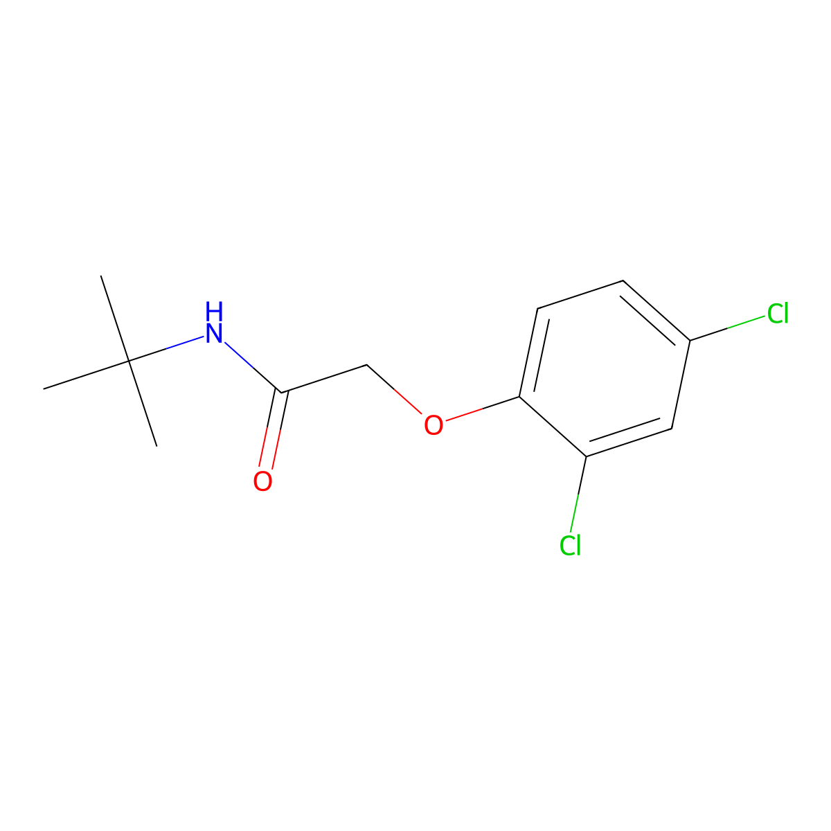 N-(tert-butyl)-2-(2,4-dichlorophenoxy)acetamide molecular structure, CAS 315248-98-7