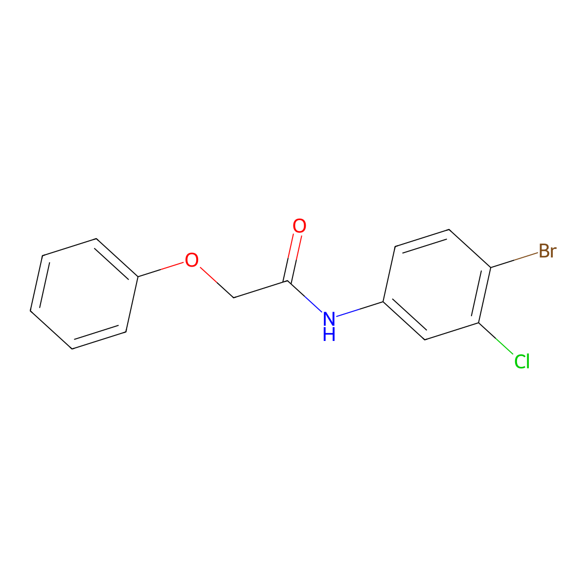 N-(4-bromo-3-chlorophenyl)-2-phenoxyacetamide molecular structure, CAS 316151-09-4