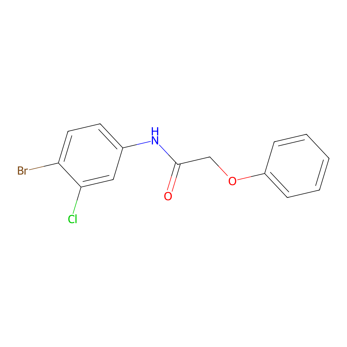 N-(4-bromo-3-chlorophenyl)-2-phenoxyacetamide molecular structure, CAS 316151-09-4