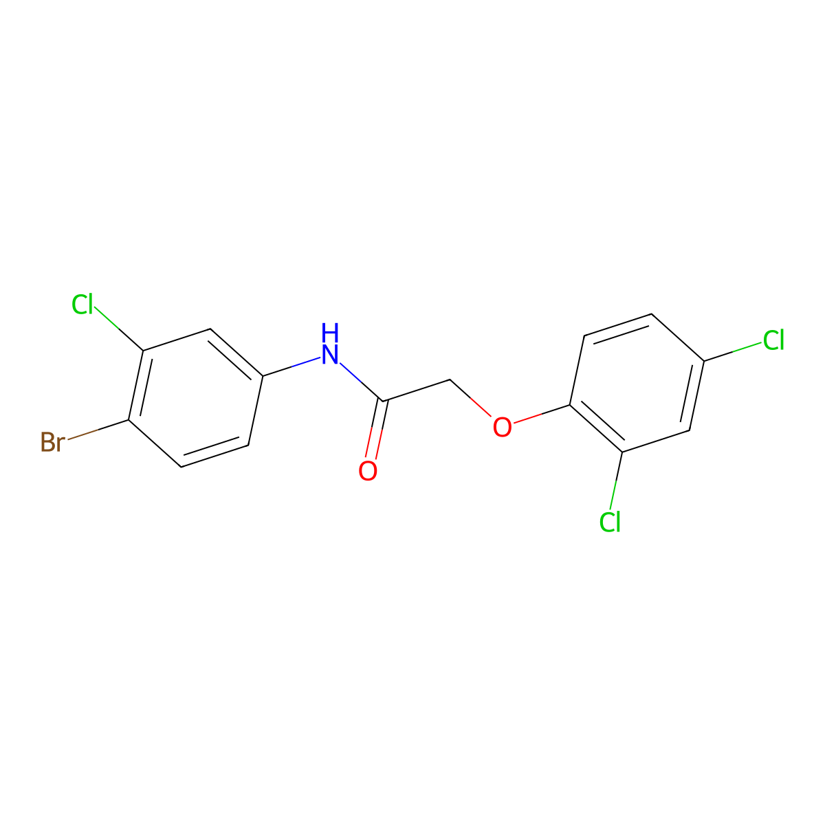 N-(4-bromo-3-chlorophenyl)-2-(2,4-dichlorophenoxy)acetamide molecular structure, CAS 316153-95-4