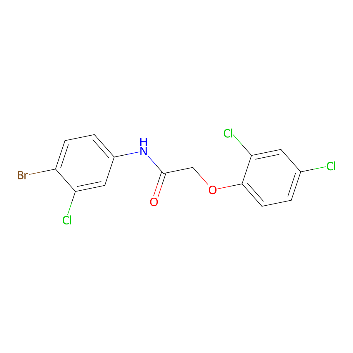 N-(4-bromo-3-chlorophenyl)-2-(2,4-dichlorophenoxy)acetamide molecular structure, CAS 316153-95-4