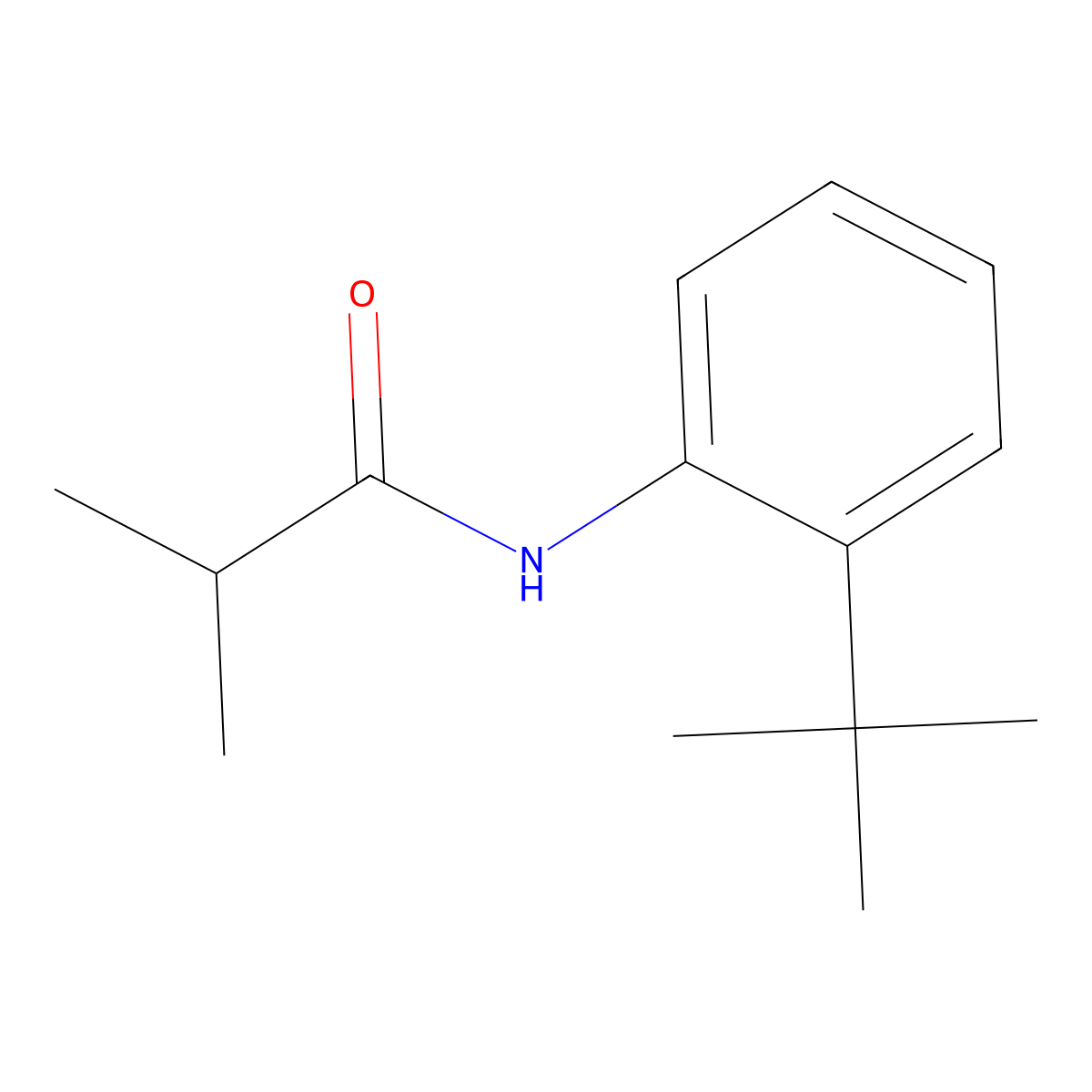 N-(2-tert-butylphenyl)-2-methylpropanamide molecular structure, CAS 318233-92-0