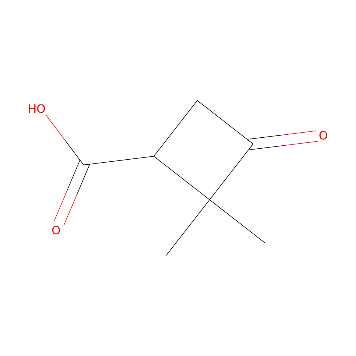 2,2-Dimethyl-3-oxocyclobutanecarboxylic acid molecular structure, CAS 3183-43-5