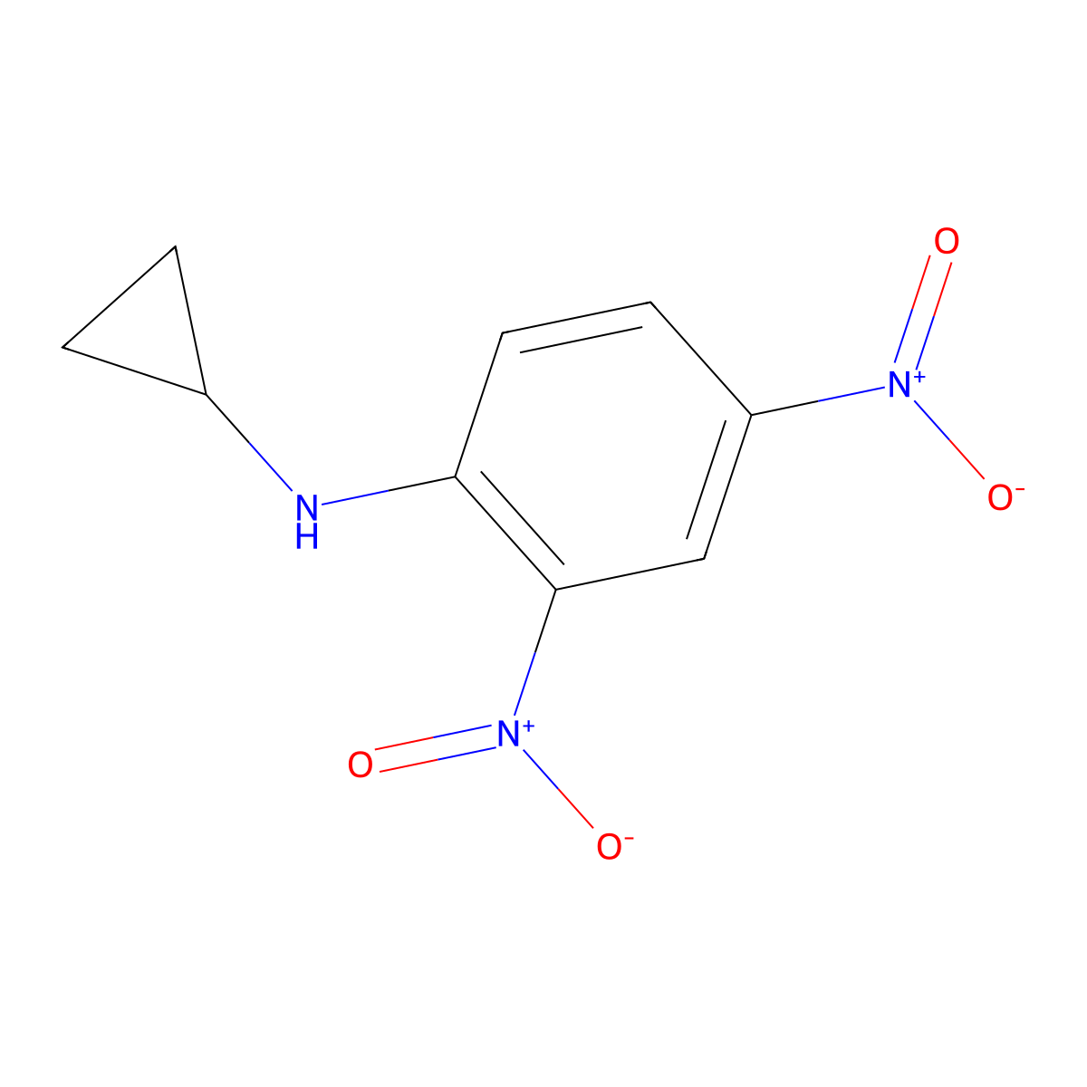 N-cyclopropyl-2,4-dinitroaniline molecular structure, CAS 31846-29-4
