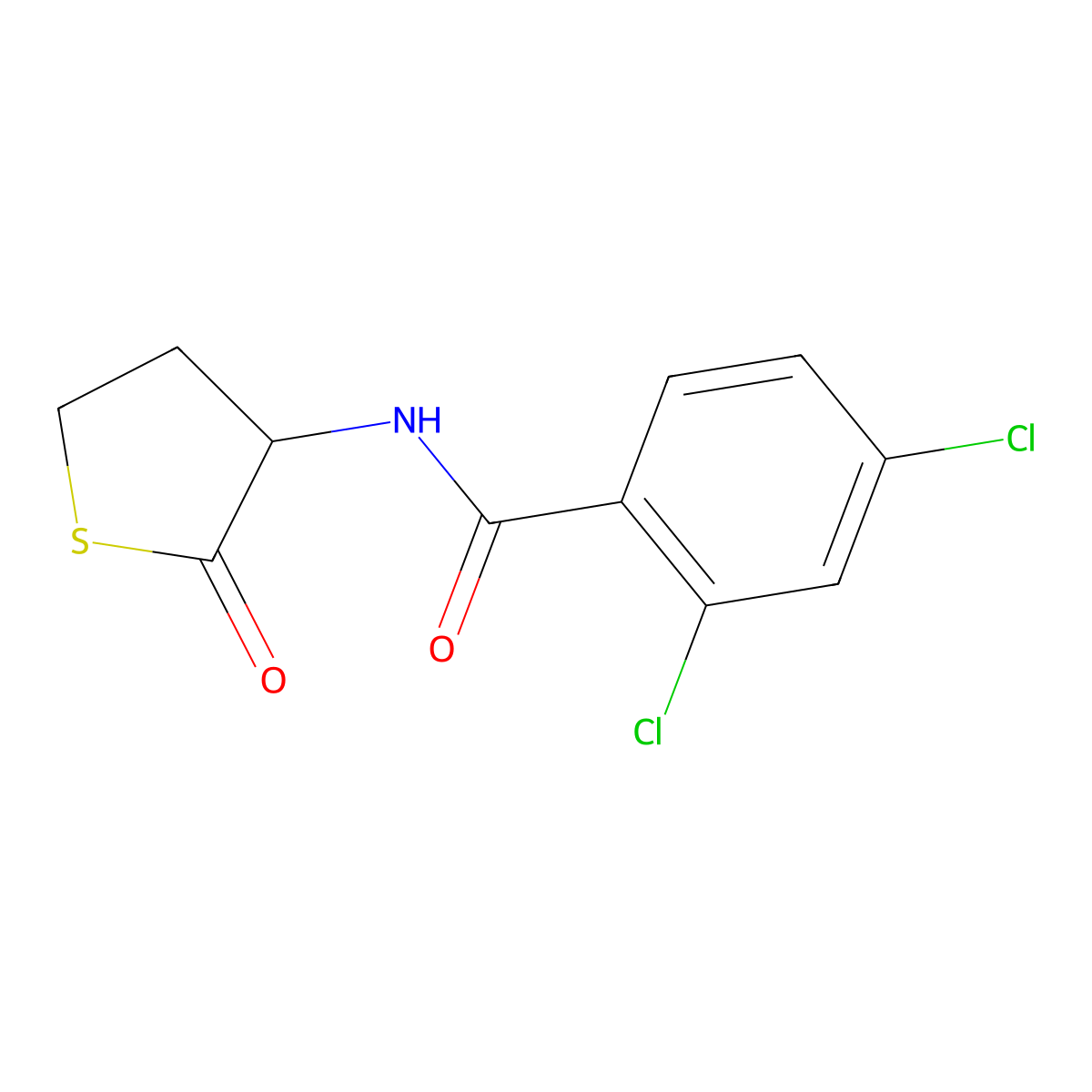 2,4-Dichloro-N-(tetrahydro-2-oxo-3-thienyl)benzamide molecular structure, CAS 321521-86-2