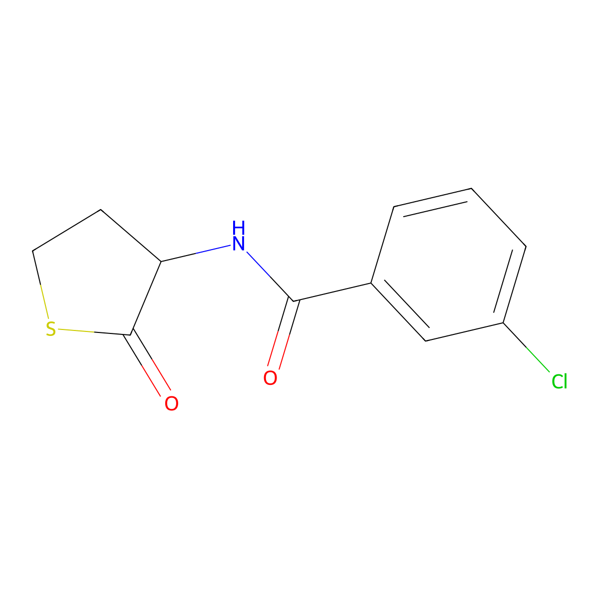 3-chloro-N-(2-oxothiolan-3-yl)benzamide molecular structure, CAS 321521-88-4