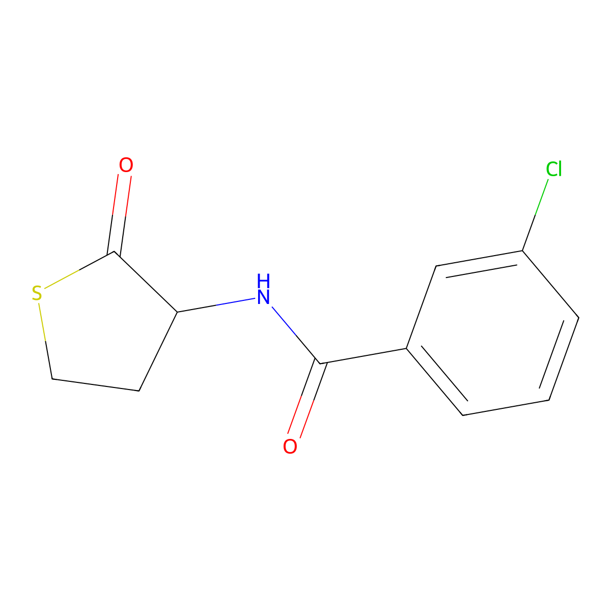 3-chloro-N-(2-oxothiolan-3-yl)benzamide molecular structure, CAS 321521-88-4