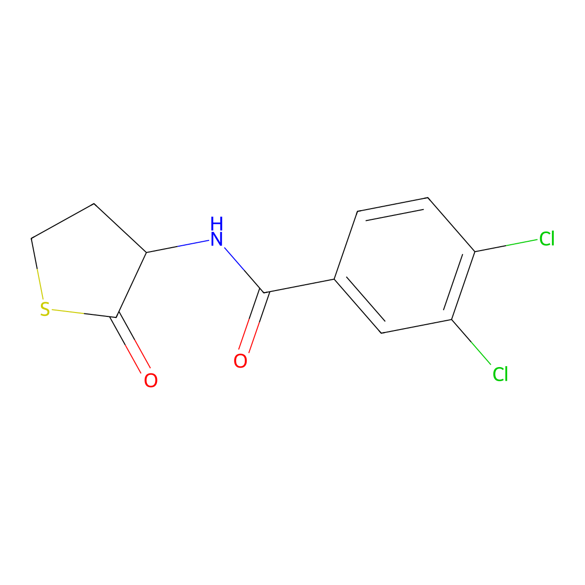 3,4-dichloro-N-(2-oxothiolan-3-yl)benzamide molecular structure, CAS 321521-89-5