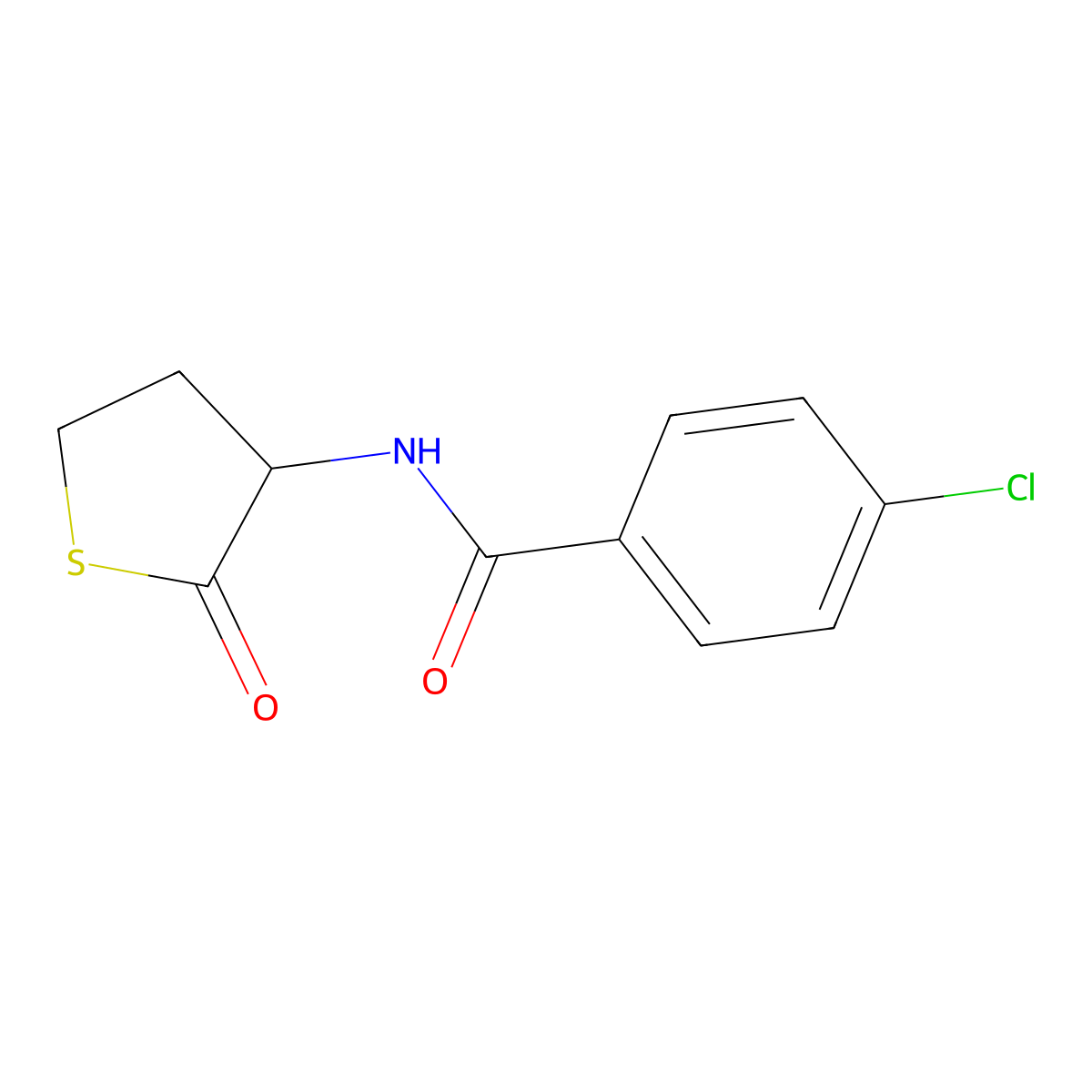 4-chloro-N-(2-oxothiolan-3-yl)benzamide molecular structure, CAS 321521-90-8