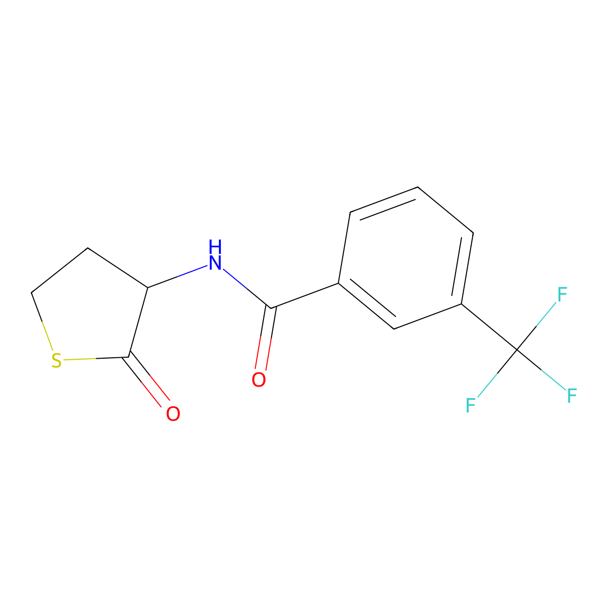 N-(2-oxotetrahydro-3-thiophenyl)-3-(trifluoromethyl)benzenecarboxamide molecular structure, CAS 321521-91-9