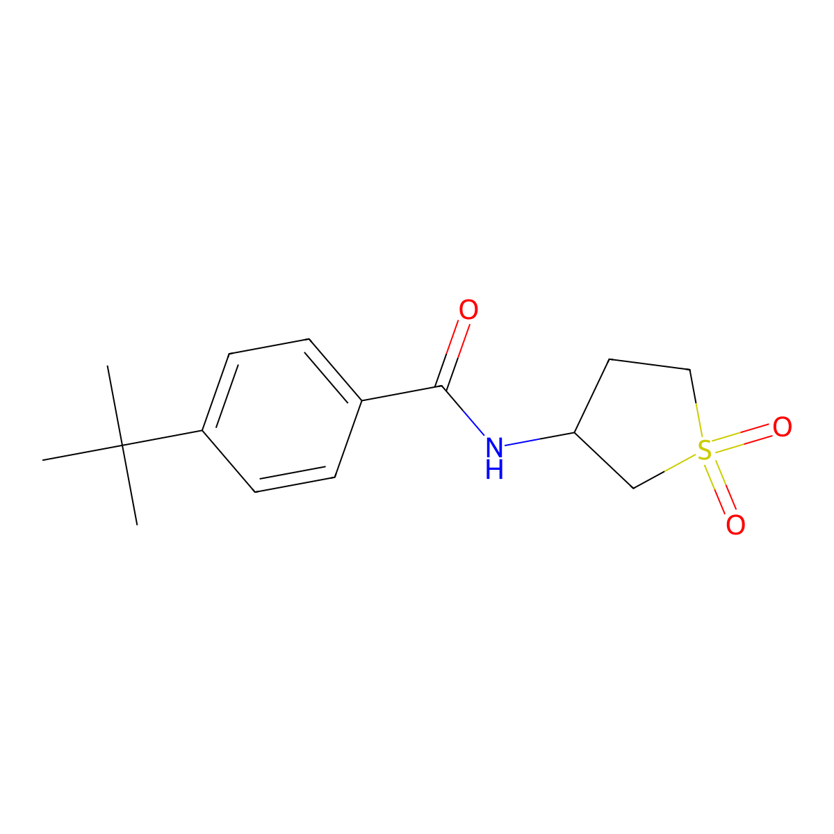 4-tert-butyl-N-(1,1-dioxidotetrahydrothiophen-3-yl)benzamide molecular structure, CAS 324070-99-7
