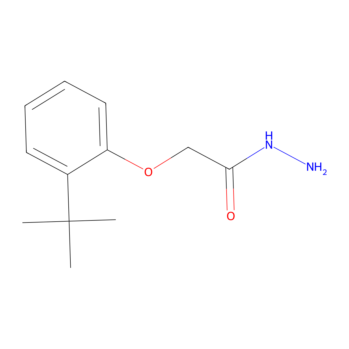 2-(2-Tert-butylphenoxy)acetohydrazide molecular structure, CAS 324532-40-3