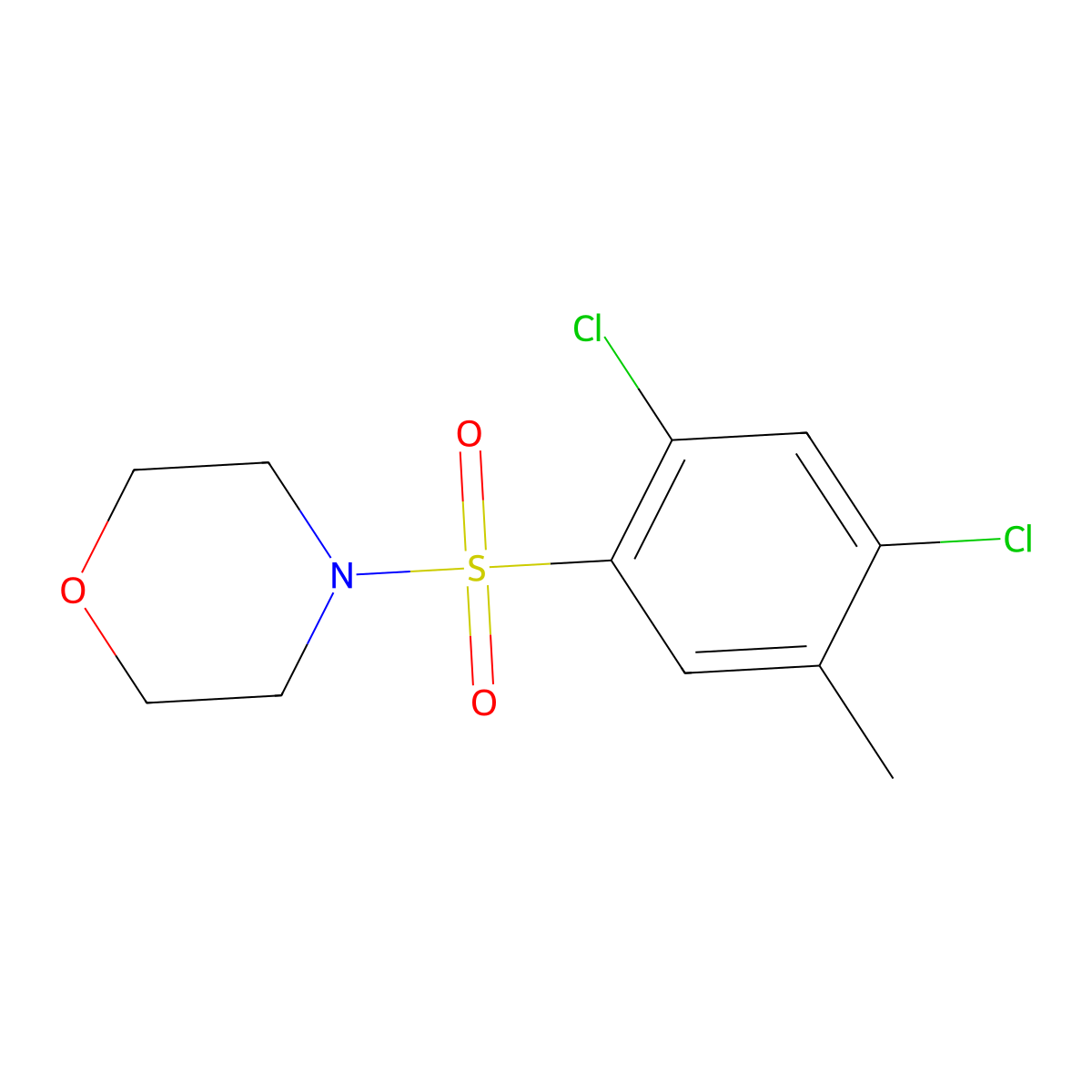 4-[(2,4-Dichloro-5-methylphenyl)sulfonyl]morpholine molecular structure, CAS 325812-22-4