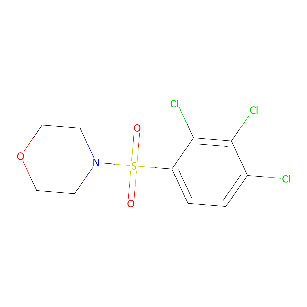 4-(2,3,4-Trichlorobenzenesulfonyl)morpholine molecular structure, CAS 325813-32-9