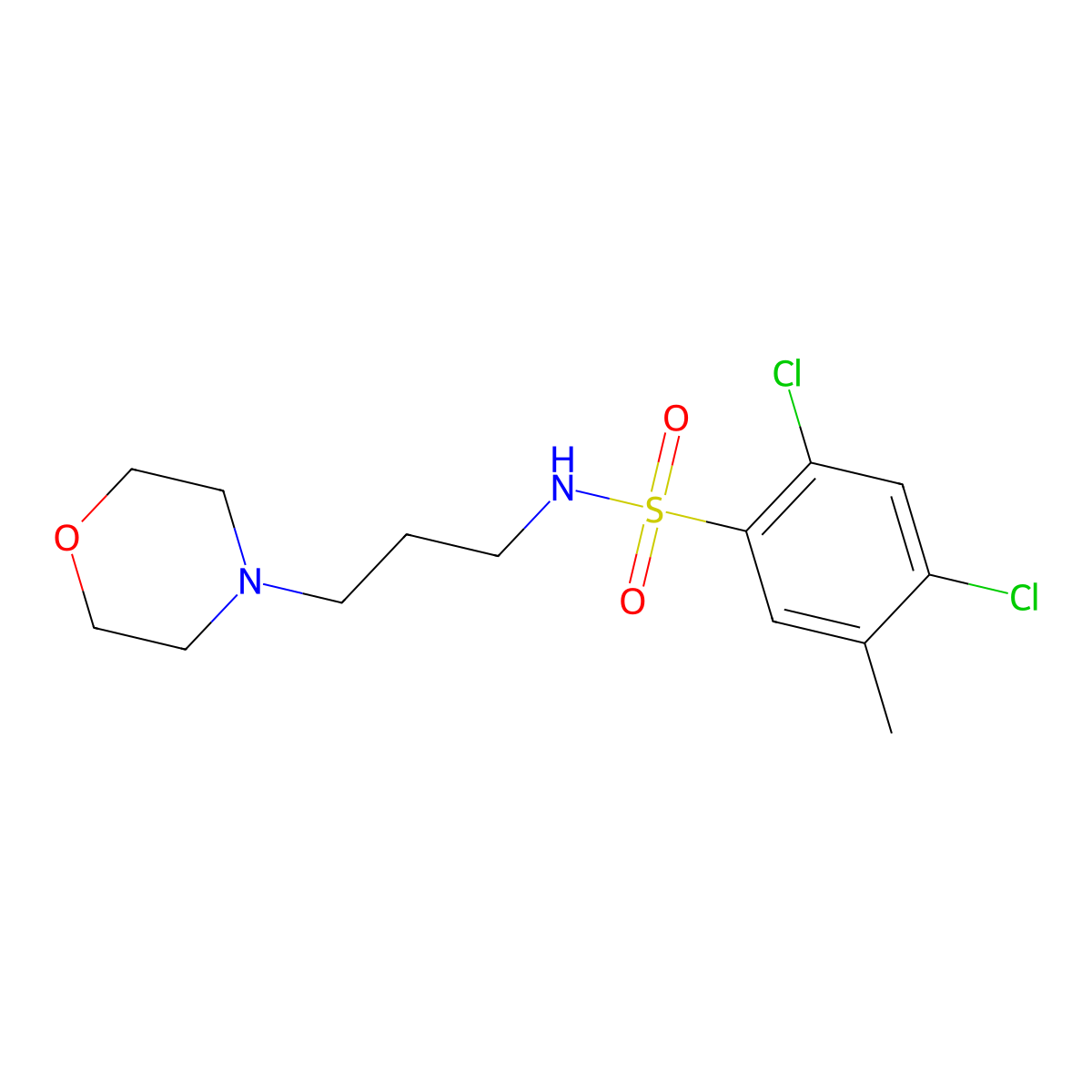 2,4-dichloro-5-methyl-N-(3-morpholinopropyl)benzenesulfonamide molecular structure, CAS 325992-16-3