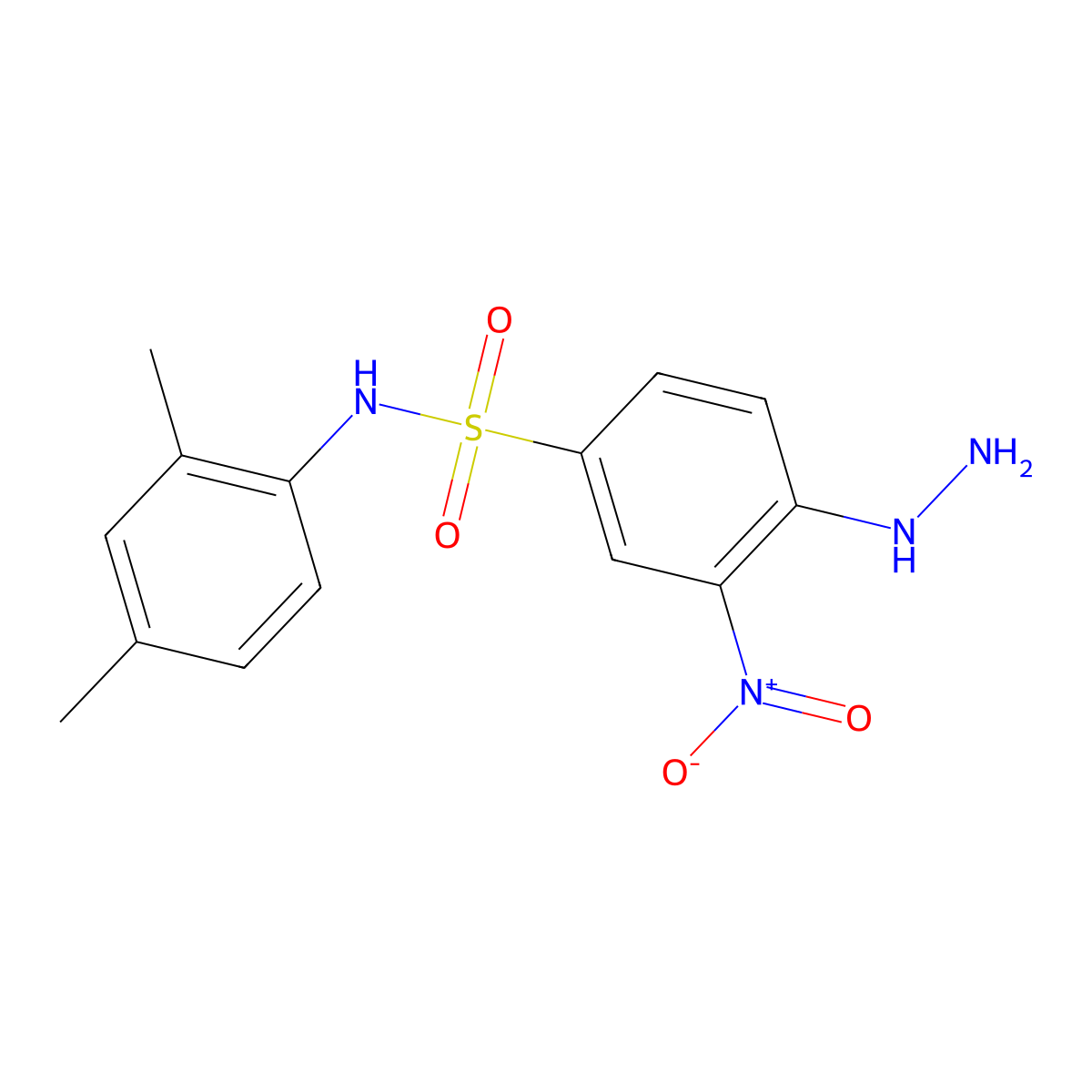 N-(2,4-Dimethyl-phenyl)-4-hydrazino-3-nitro-benzenesulfonamide molecular structure, CAS 326023-10-3