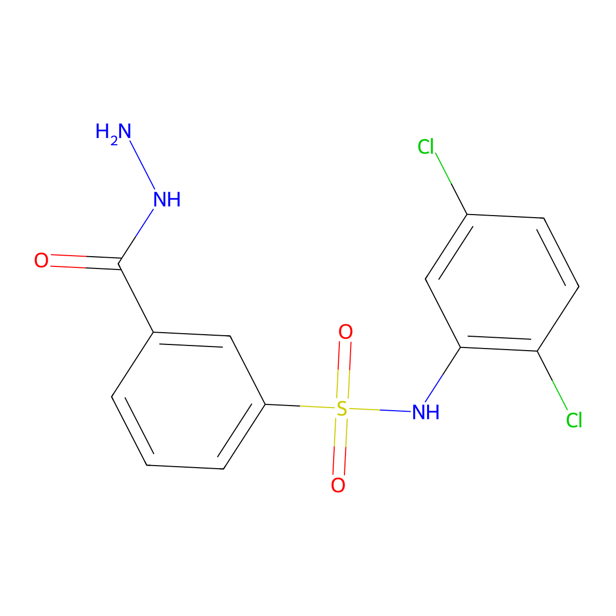 N-(2,5-dichlorophenyl)-3-(hydrazinecarbonyl)benzene-1-sulfonamide molecular structure, CAS 326916-24-9