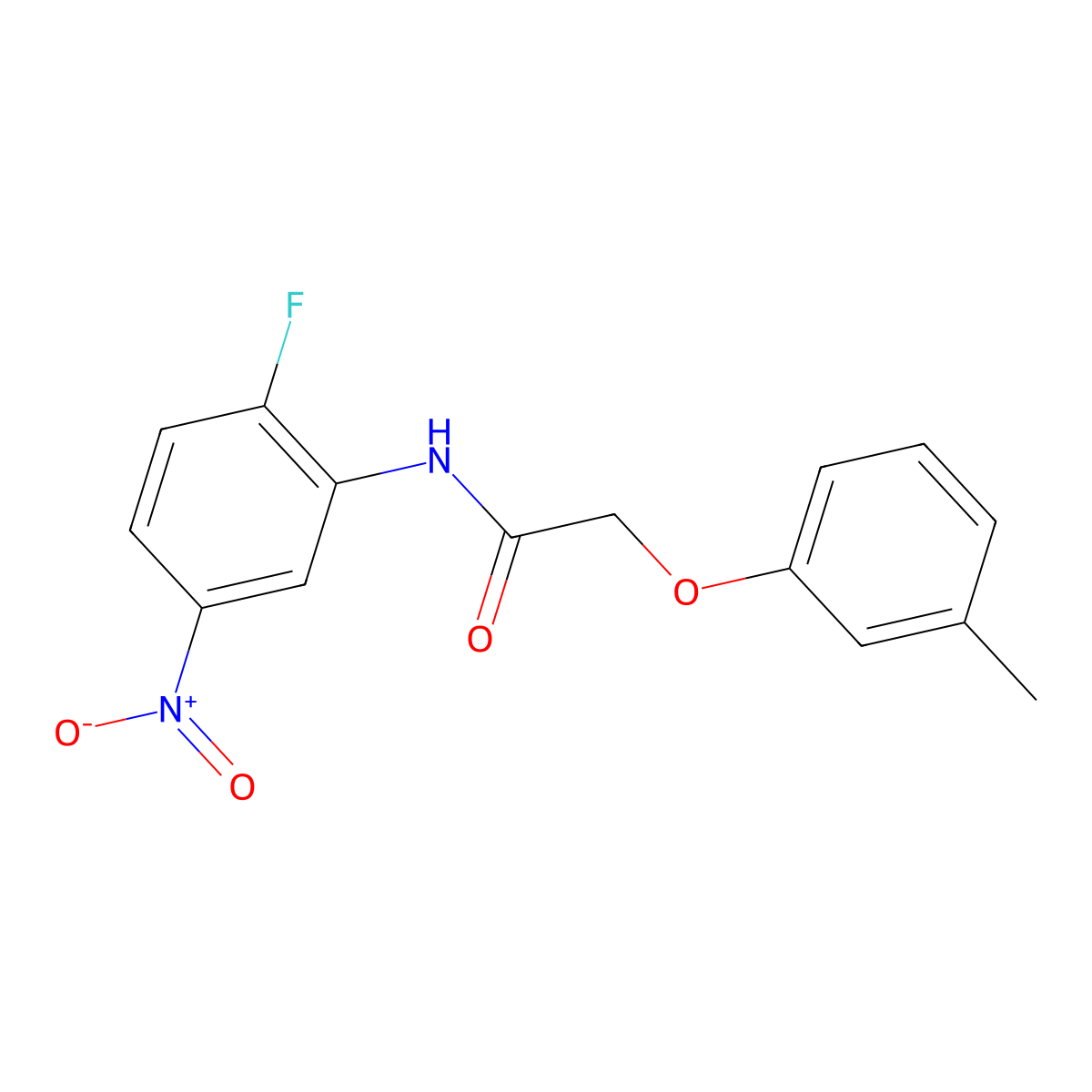 N-(2-fluoro-5-nitrophenyl)-2-(3-methylphenoxy)acetamide molecular structure, CAS 328027-09-4