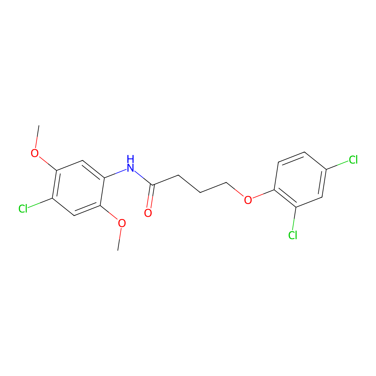N-(4-chloro-2,5-dimethoxyphenyl)-4-(2,4-dichlorophenoxy)butanamide molecular structure, CAS 328269-44-9