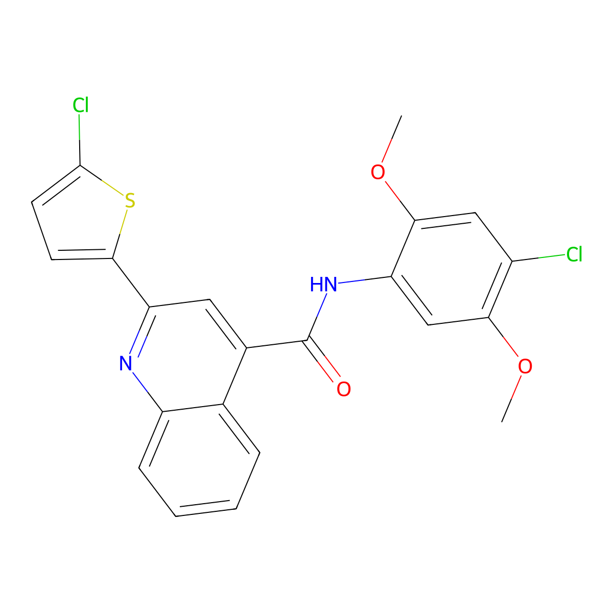 N-(4-chloro-2,5-dimethoxyphenyl)-2-(5-chlorothiophen-2-yl)quinoline-4-carboxamide molecular structure, CAS 329042-82-2