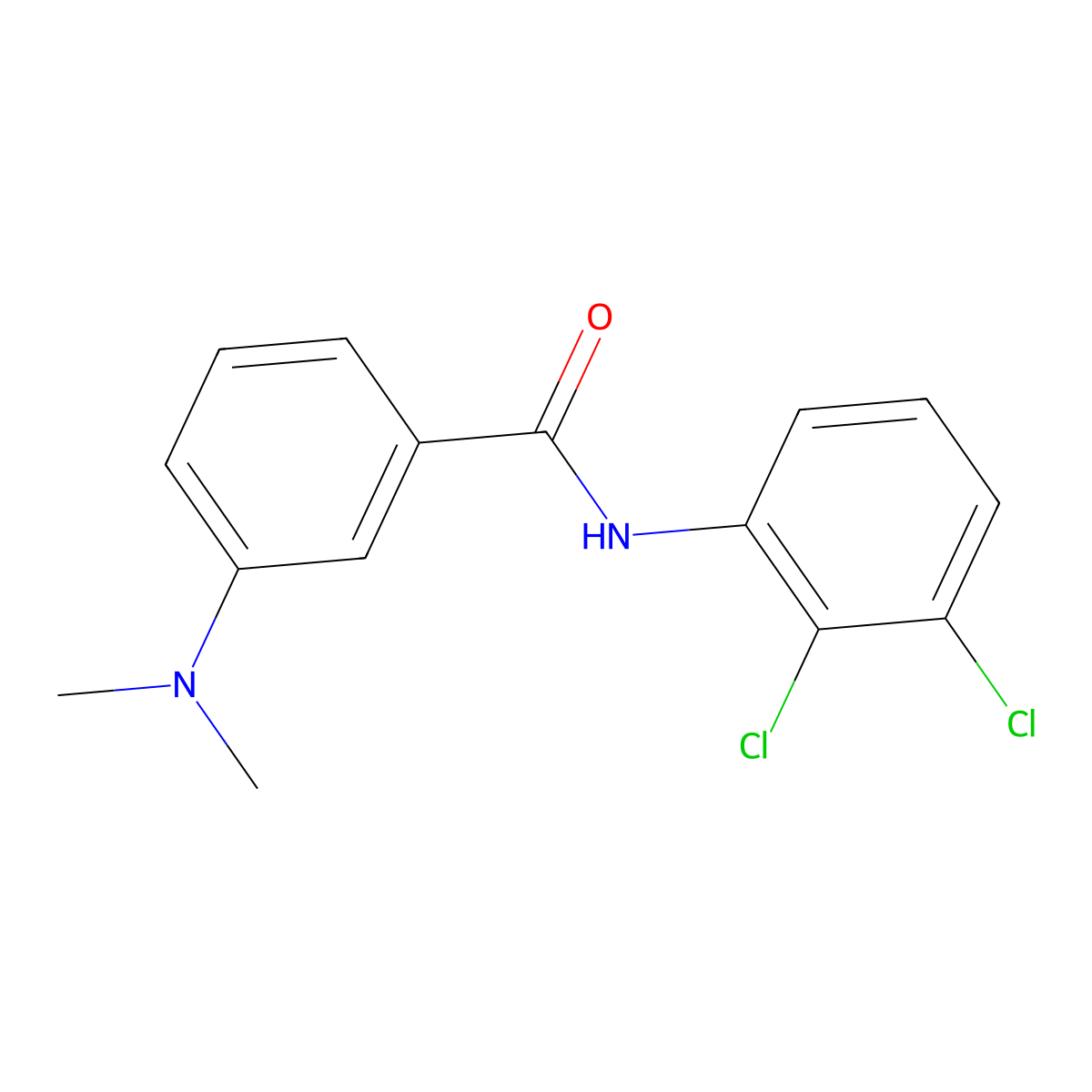 N-(2,3-dichlorophenyl)-3-(dimethylamino)benzamide molecular structure, CAS 329931-32-0