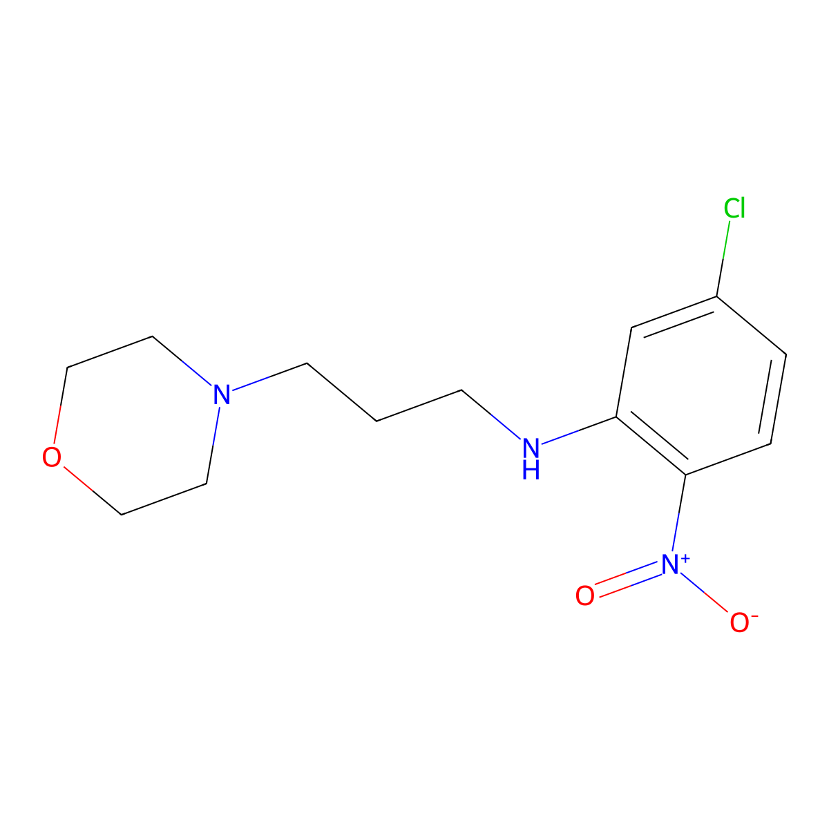 (5-Chloro-2-nitrophenyl)(3-morpholin-4-ylpropyl)amine molecular structure, CAS 330177-70-3