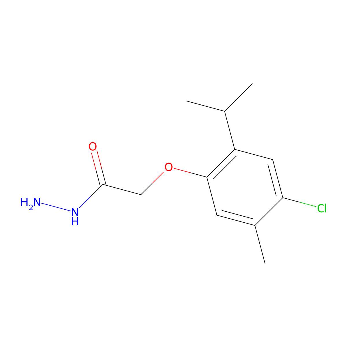 2-[4-Chloro-5-methyl-2-(propan-2-yl)phenoxy]acetohydrazide molecular structure, CAS 331761-39-8
