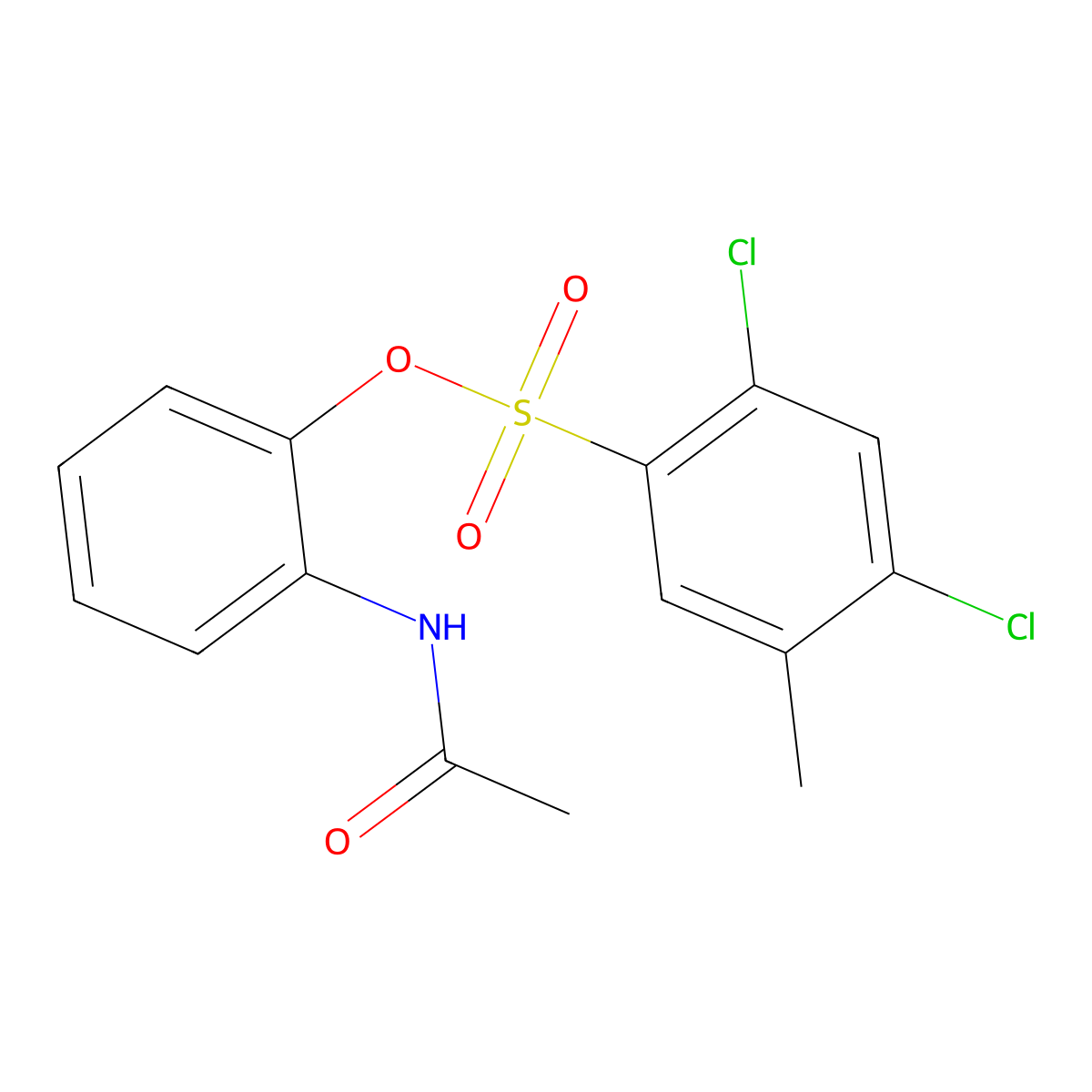 2-(Acetylamino)phenyl 2,4-dichloro-5-methylbenzenesulfonate molecular structure, CAS 332388-66-6