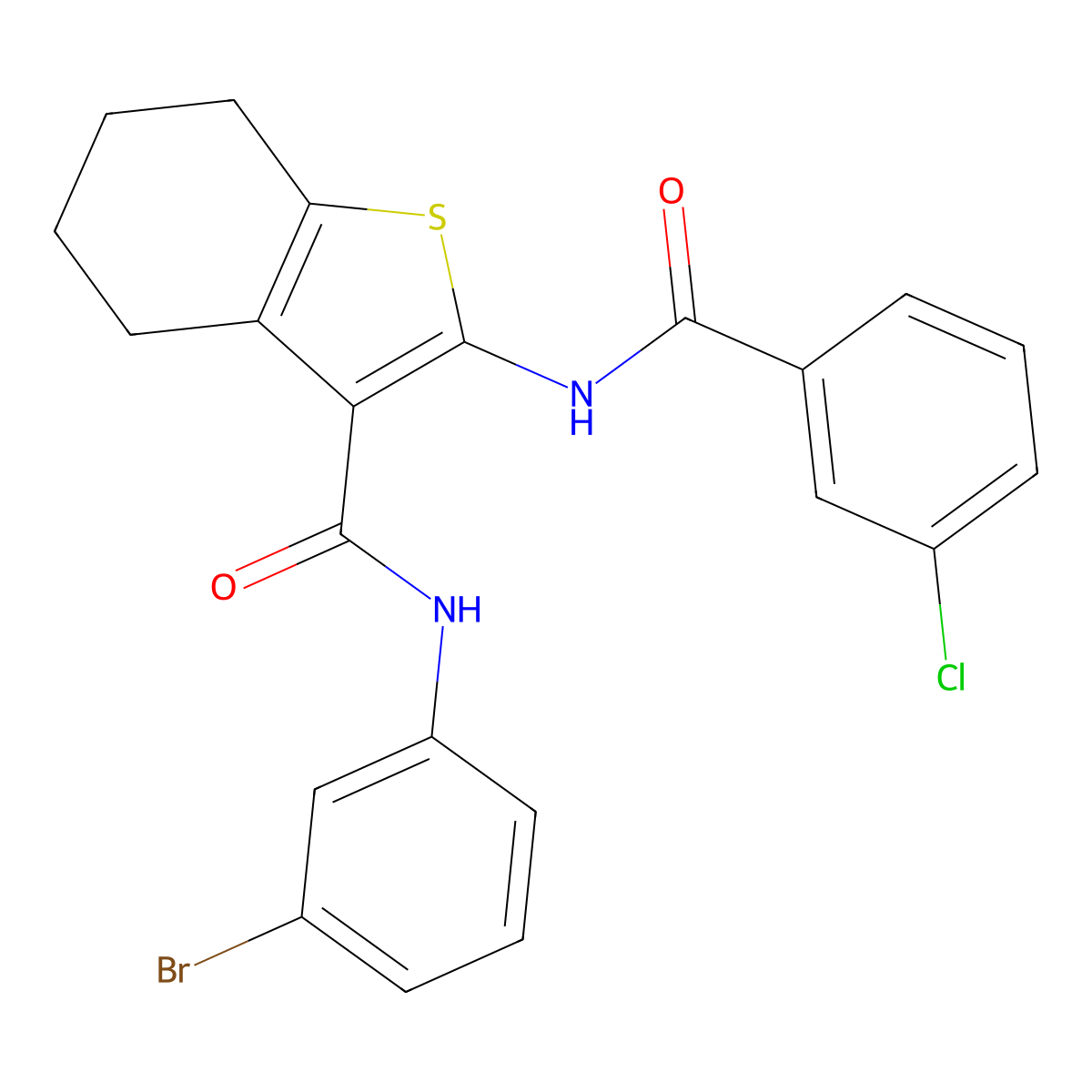 N-(3-bromophenyl)-2-[(3-chlorobenzoyl)amino]-4,5,6,7-tetrahydro-1-benzothiophene-3-carboxamide molecular structure, CAS 333358-85-3