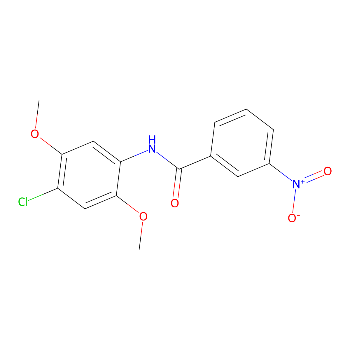 N-(4-chloro-2,5-dimethoxyphenyl)-3-nitrobenzamide molecular structure, CAS 333396-23-9