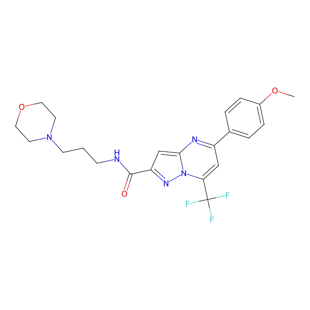 5-(4-methoxyphenyl)-N-(3-morpholin-4-ylpropyl)-7-(trifluoromethyl)pyrazolo[1,5-a]pyrimidine-2-carboxamide molecular structure, CAS 333761-59-4