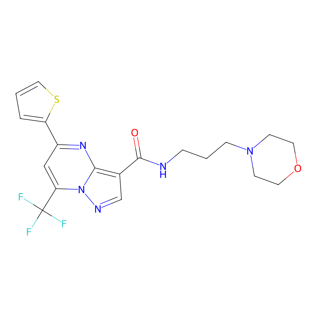 N-(3-morpholin-4-ylpropyl)-5-thiophen-2-yl-7-(trifluoromethyl)pyrazolo[1,5-a]pyrimidine-3-carboxamide molecular structure, CAS 333762-23-5