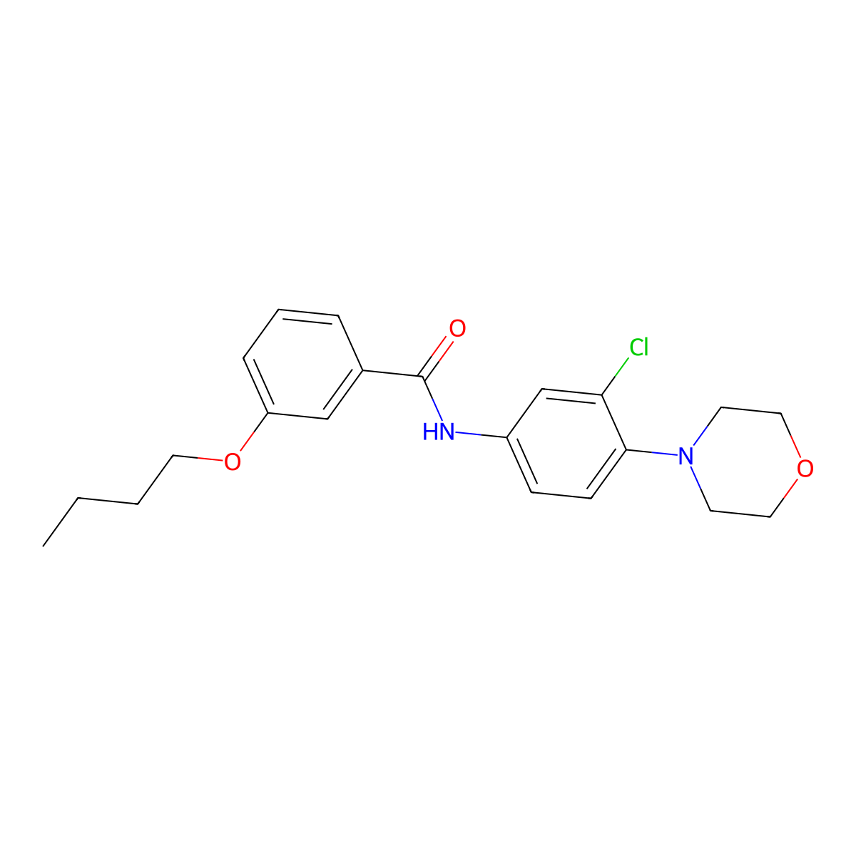 3-butoxy-N-(3-chloro-4-morpholin-4-ylphenyl)benzamide molecular structure, CAS 334503-15-0