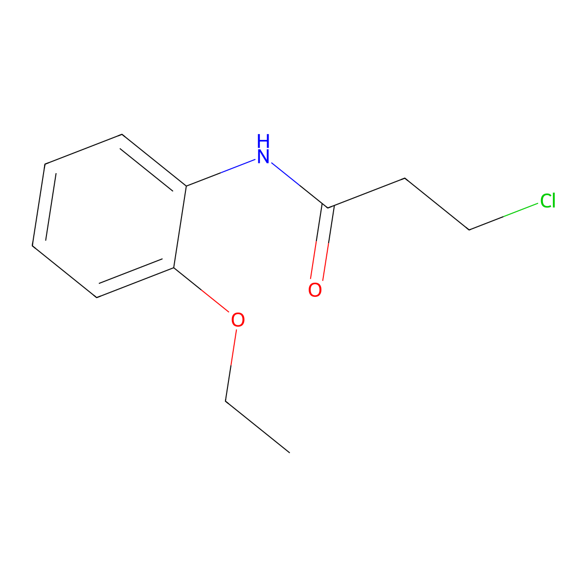 3-chloro-N-(2-ethoxyphenyl)propanamide molecular structure, CAS 334504-88-0