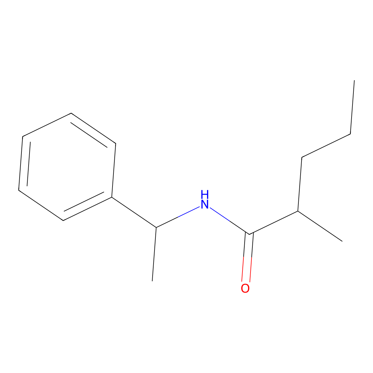2-methyl-N-(1-phenylethyl)pentanamide molecular structure, CAS 335397-47-2
