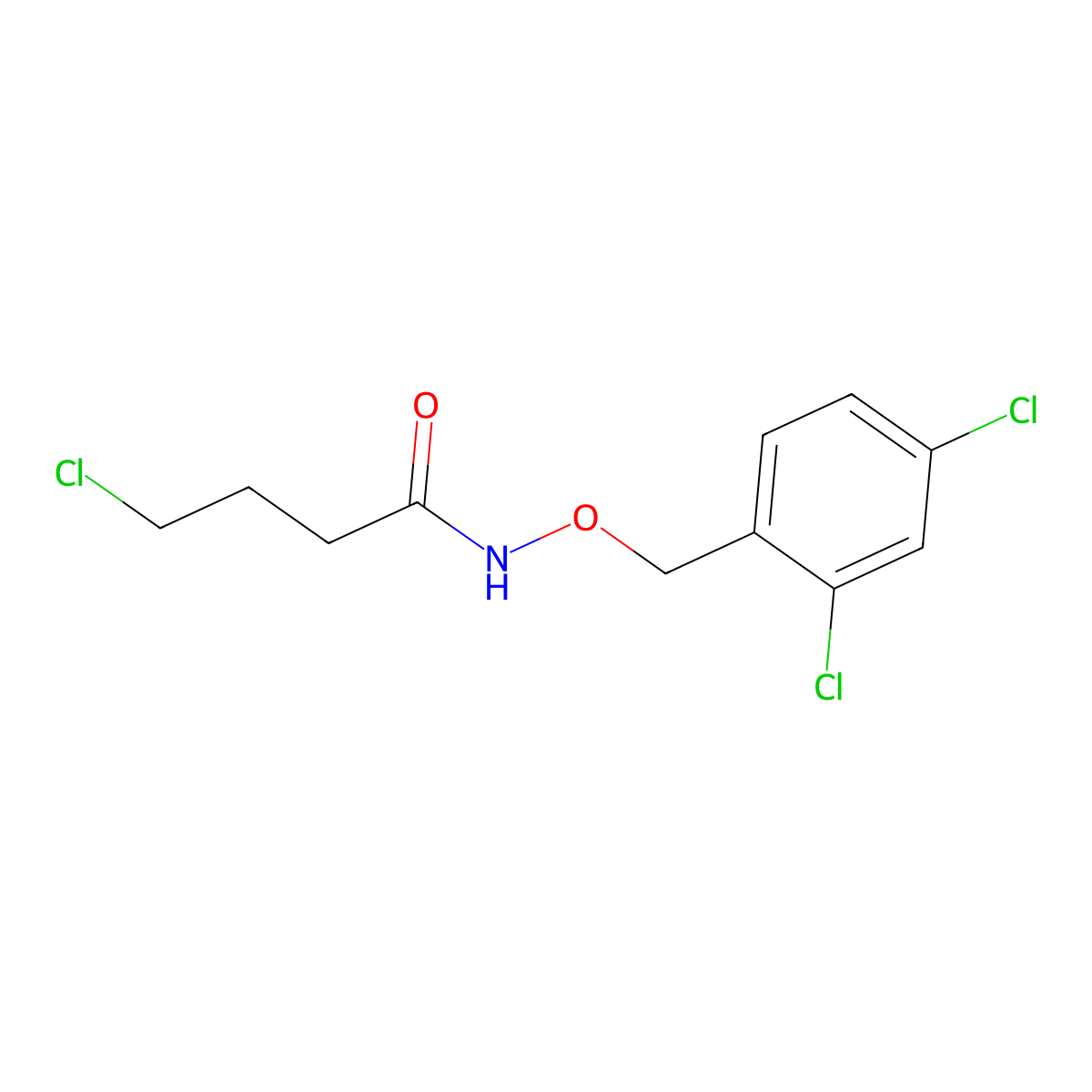 4-chloro-N-[(2,4-dichlorophenyl)methoxy]butanamide molecular structure, CAS 338406-45-4