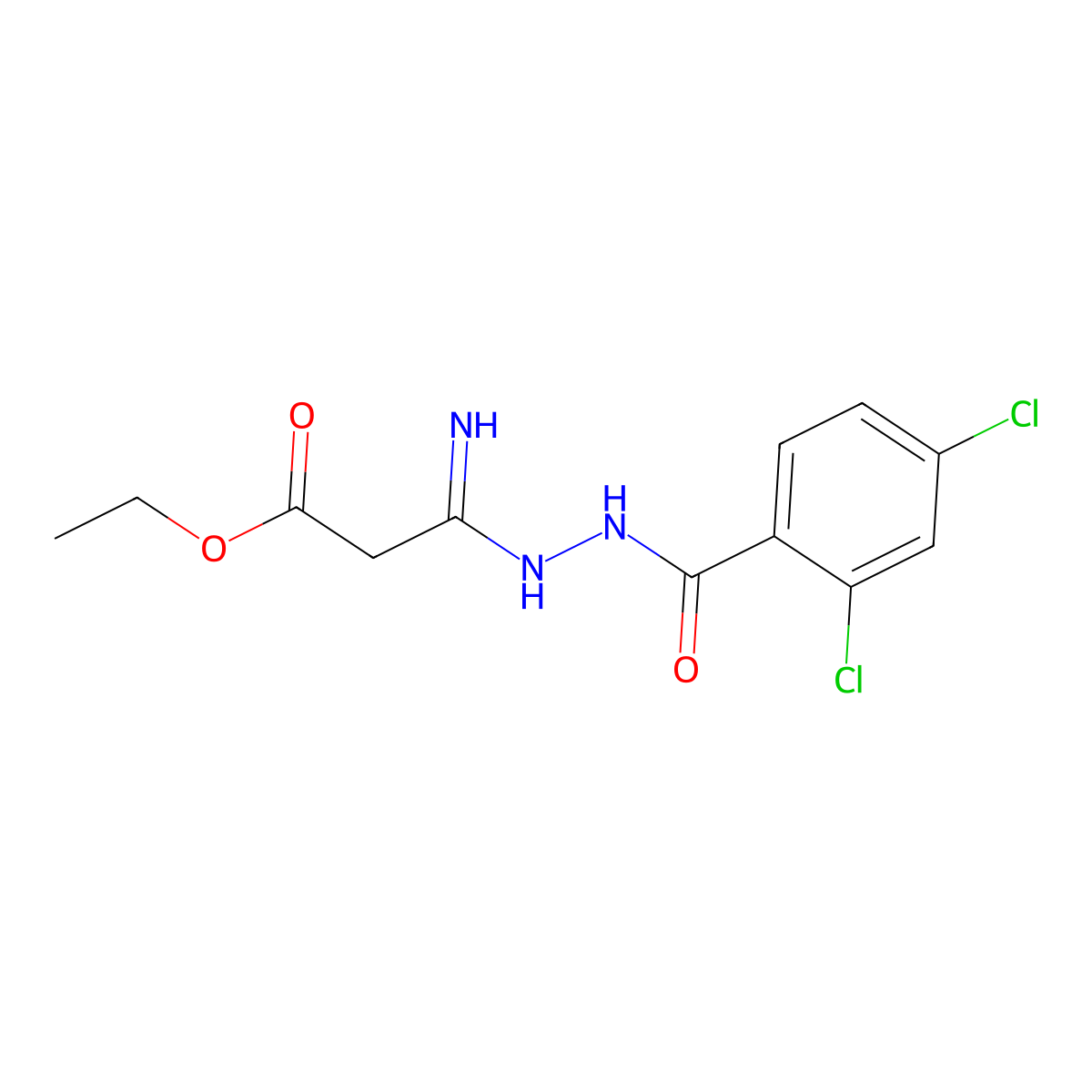 Ethyl 3-[2-(2,4-dichlorobenzoyl)hydrazino]-3-iminopropanoate molecular structure, CAS 338794-89-1
