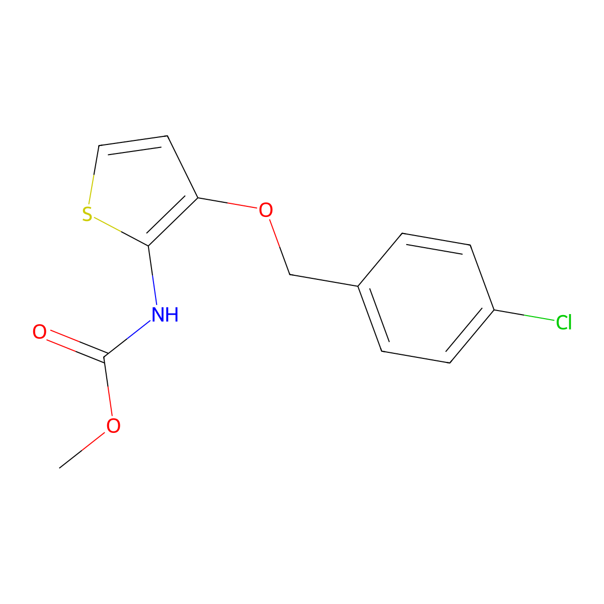 methyl N-{3-[(4-chlorobenzyl)oxy]-2-thienyl}carbamate molecular structure, CAS 339009-49-3