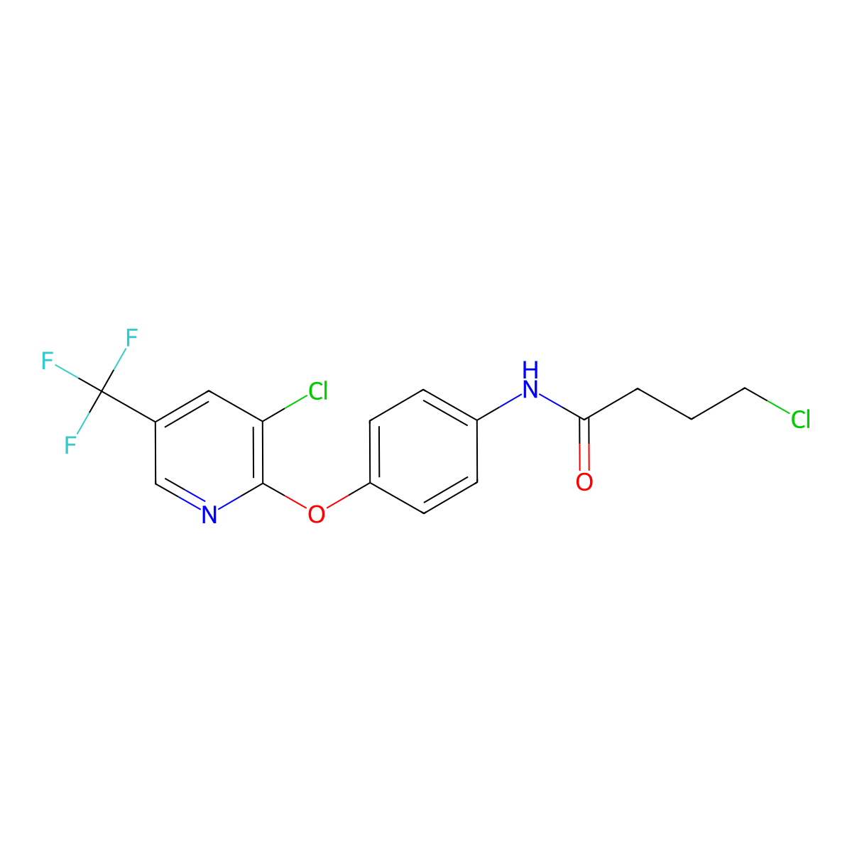 4-Chloro-N-(4-{[3-chloro-5-(trifluoromethyl)-2-pyridinyl]oxy}phenyl)butanamide molecular structure, CAS 339014-65-2