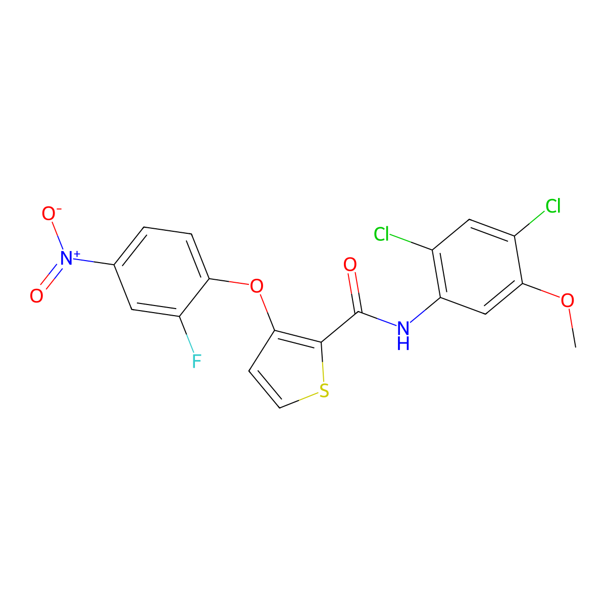 N-(2,4-dichloro-5-methoxyphenyl)-3-(2-fluoro-4-nitrophenoxy)thiophene-2-carboxamide molecular structure, CAS 339015-56-4
