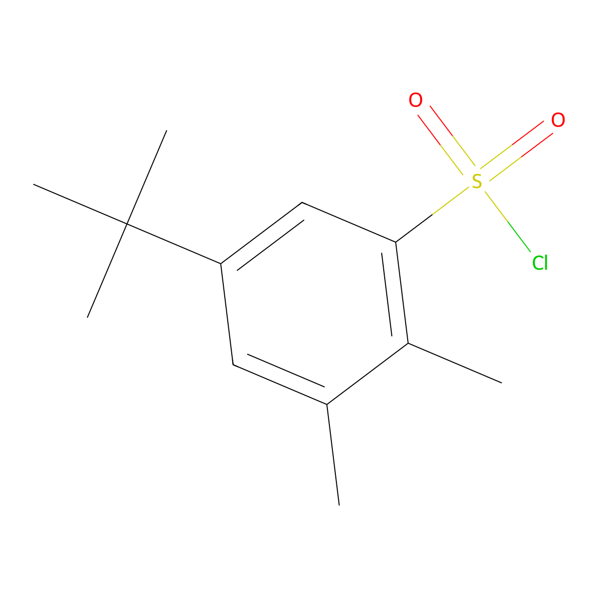5-Tert-butyl-2,3-dimethylbenzenesulfonyl chloride molecular structure, CAS 339370-16-0