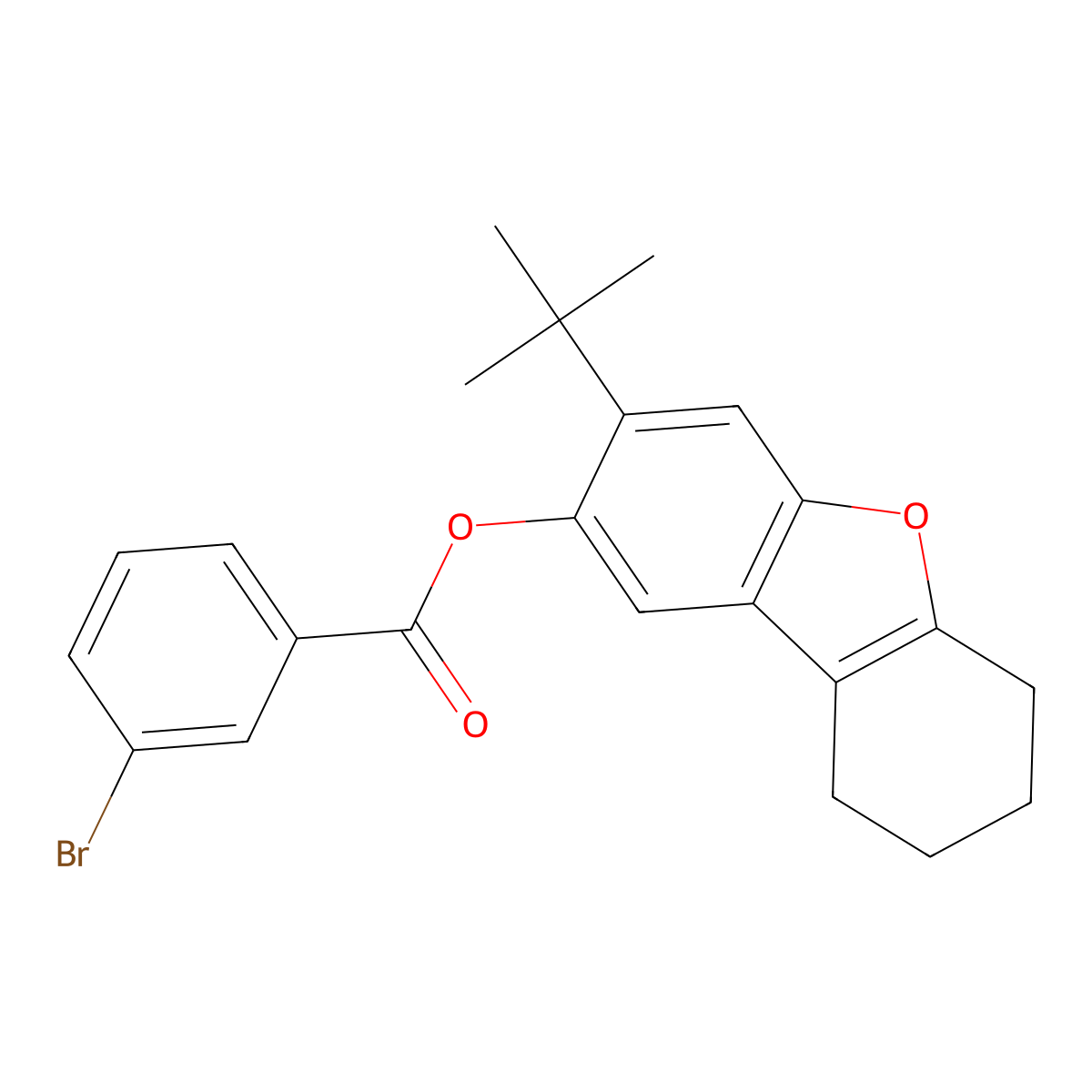 3-Tert-butyl-6,7,8,9-tetrahydrodibenzo[b,d]furan-2-yl 3-bromobenzoate molecular structure, CAS 342397-42-6