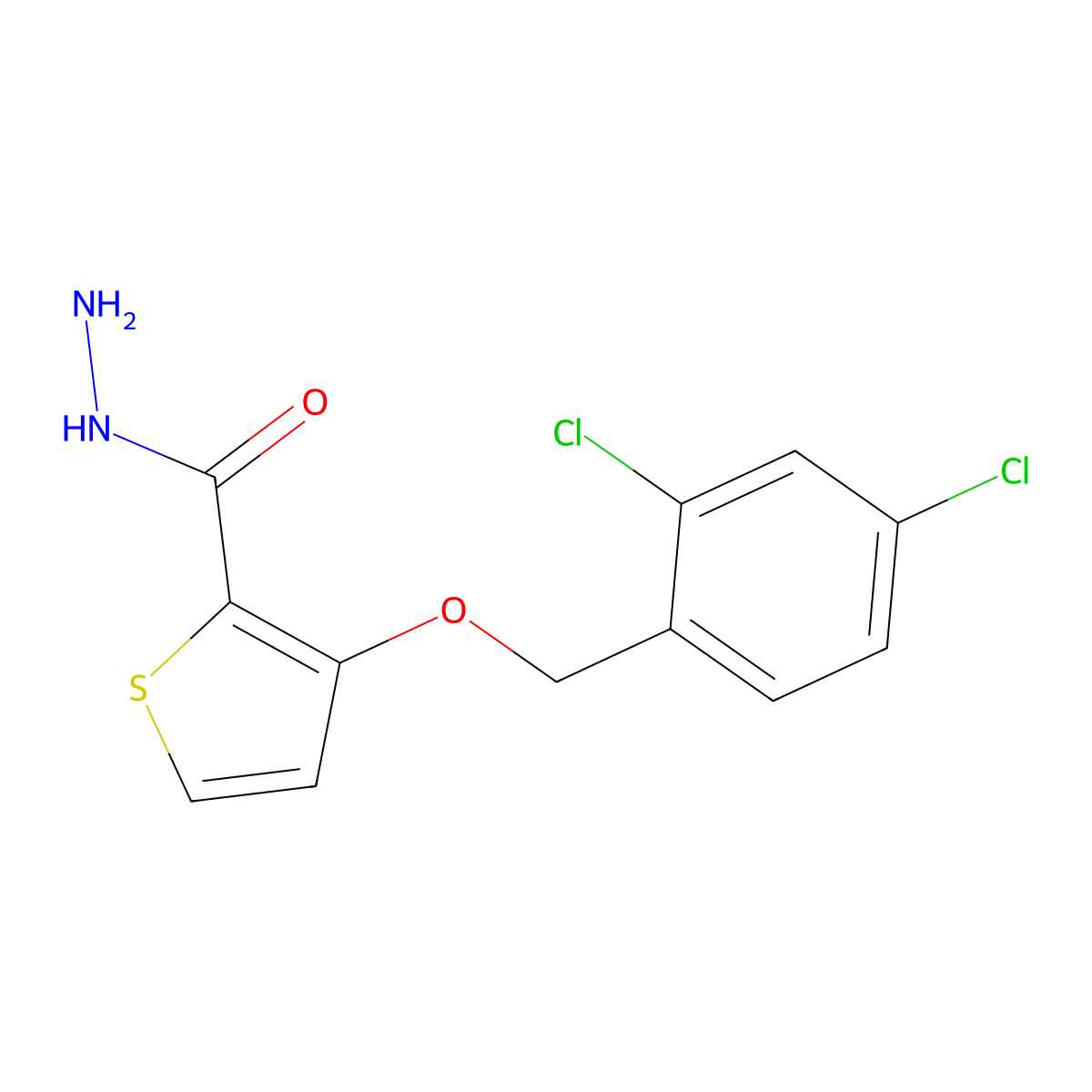 3-[(2,4-Dichlorophenyl)methoxy]thiophene-2-carbohydrazide molecular structure, CAS 343375-83-7
