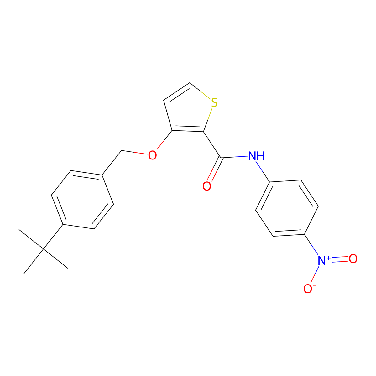 3-[(4-tert-butylphenyl)methoxy]-N-(4-nitrophenyl)thiophene-2-carboxamide molecular structure, CAS 344272-85-1