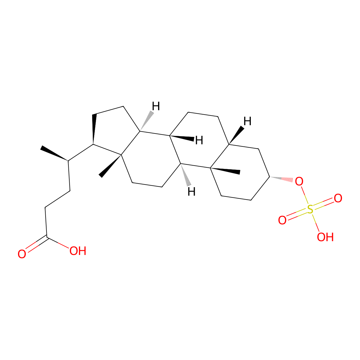 Sulfolithocholic acid molecular structure, CAS 34669-57-3