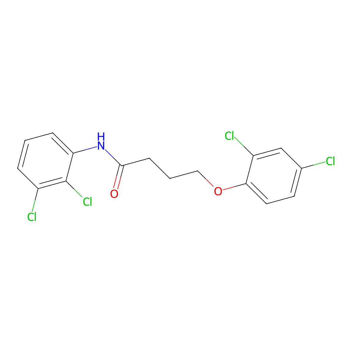 4-(2,4-dichlorophenoxy)-N-(2,3-dichlorophenyl)butanamide molecular structure, CAS 346719-05-9