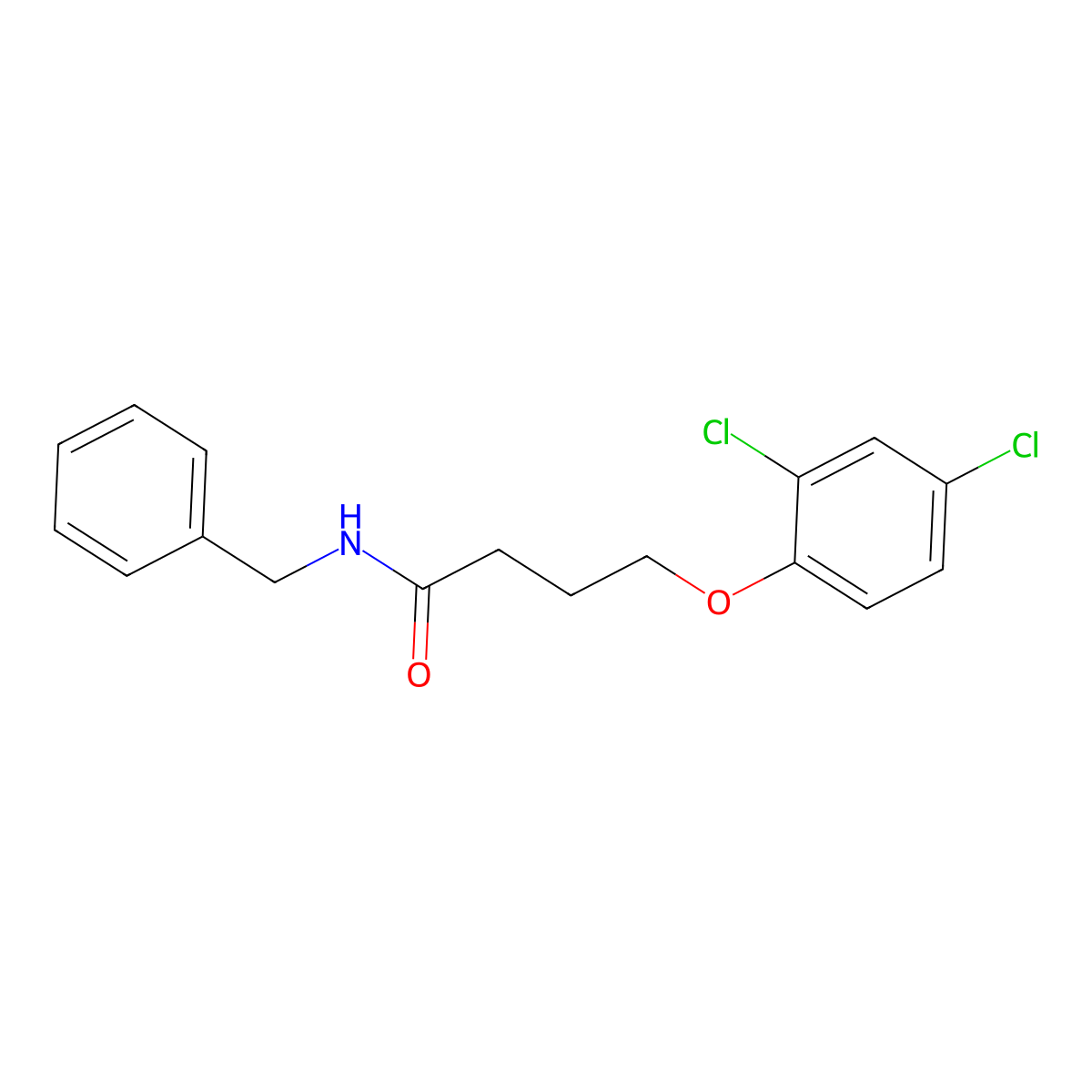 N-benzyl-4-(2,4-dichlorophenoxy)butanamide molecular structure, CAS 346719-06-0