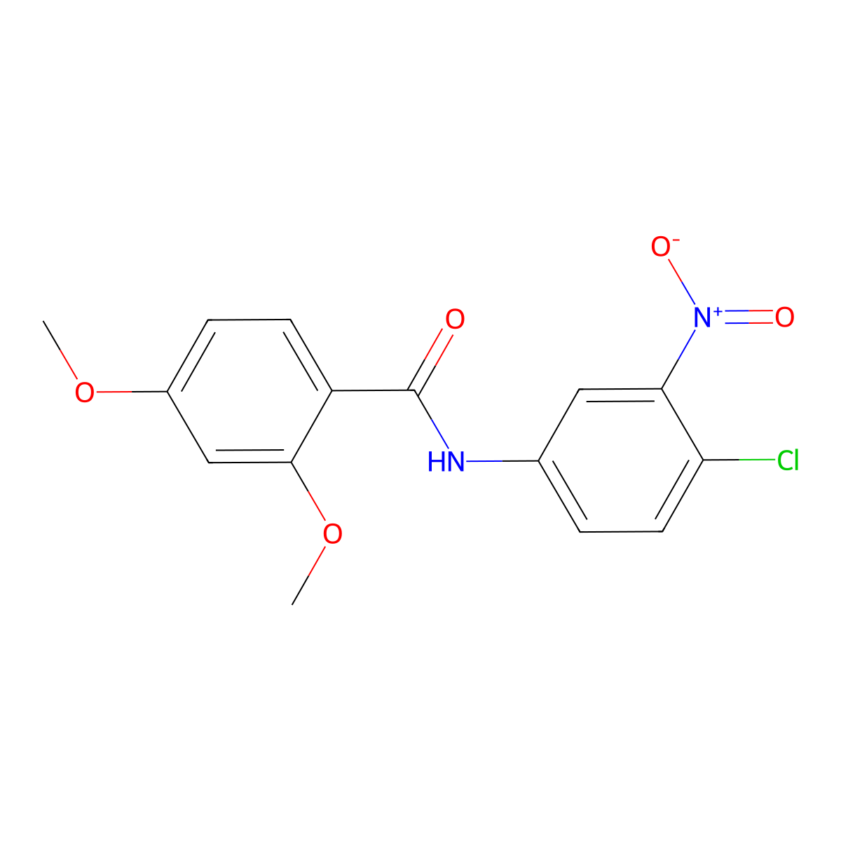 N-(4-chloro-3-nitrophenyl)-2,4-dimethoxybenzamide molecular structure, CAS 346724-34-3