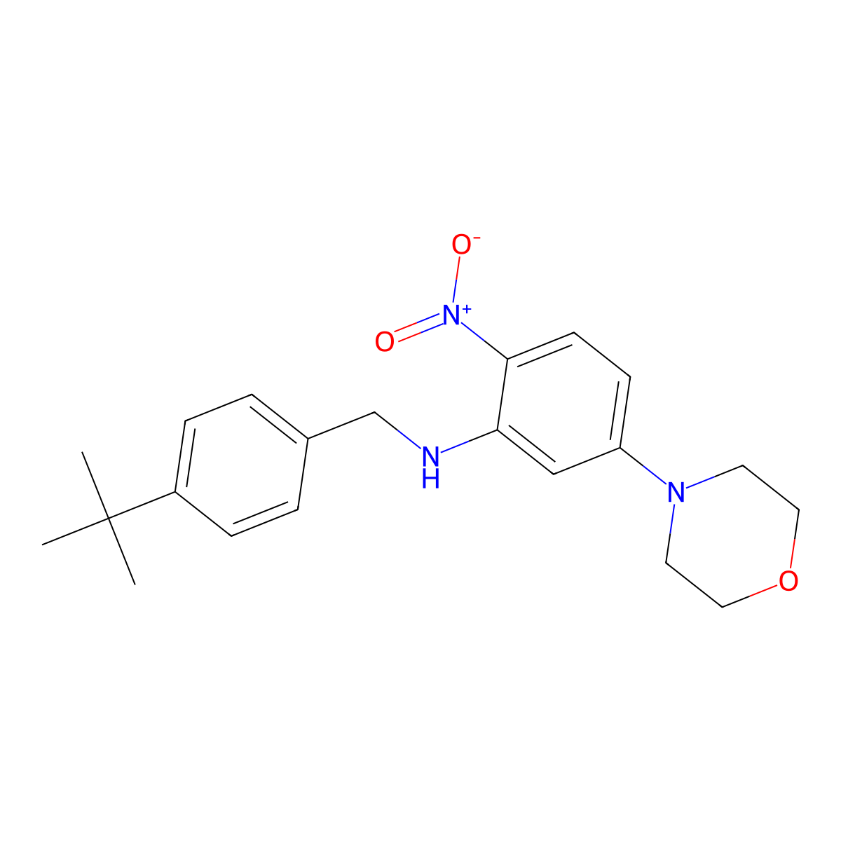 N-[(4-tert-butylphenyl)methyl]-5-morpholin-4-yl-2-nitroaniline molecular structure, CAS 347354-16-9
