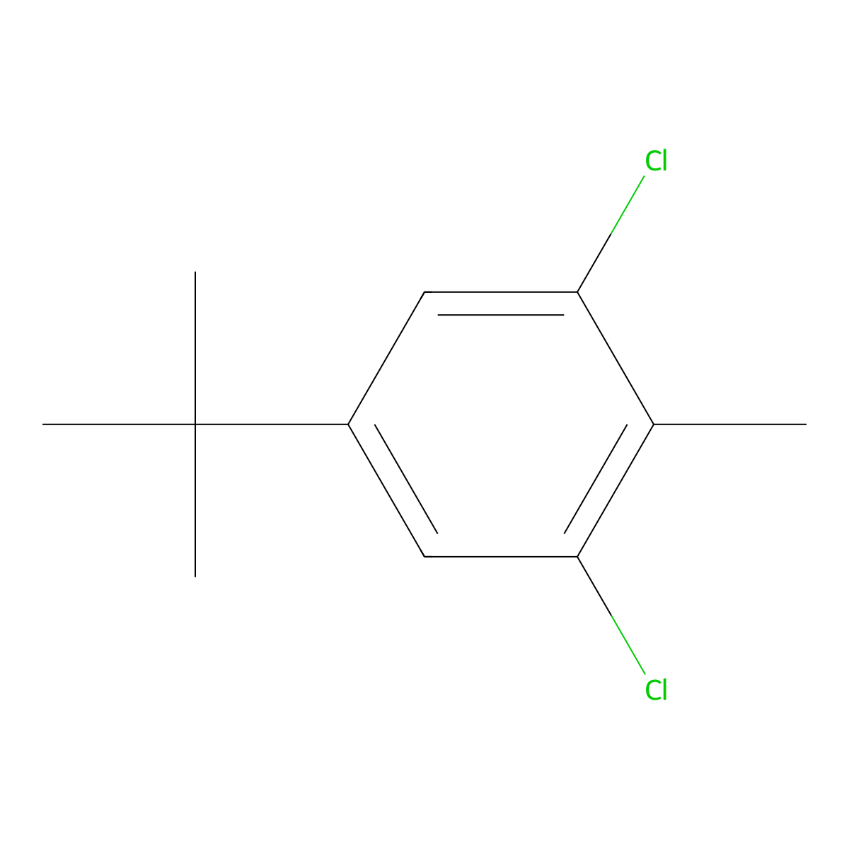 1,3-Dichloro-5-(1,1-dimethylethyl)-2-methylbenzene molecular structure, CAS 34762-66-8